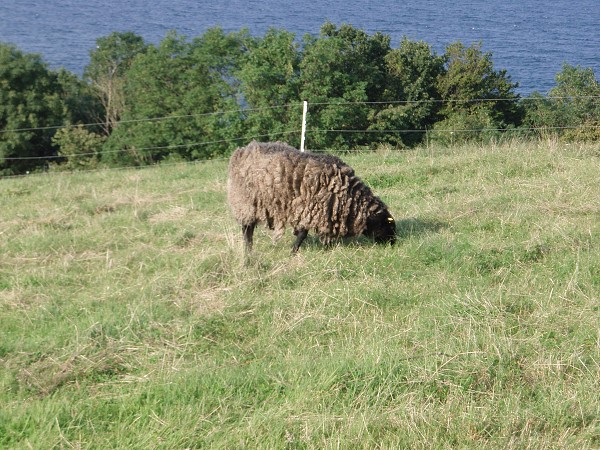 Bornholm a jižní Švédsko