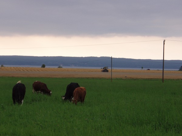 Bornholm a jižní Švédsko