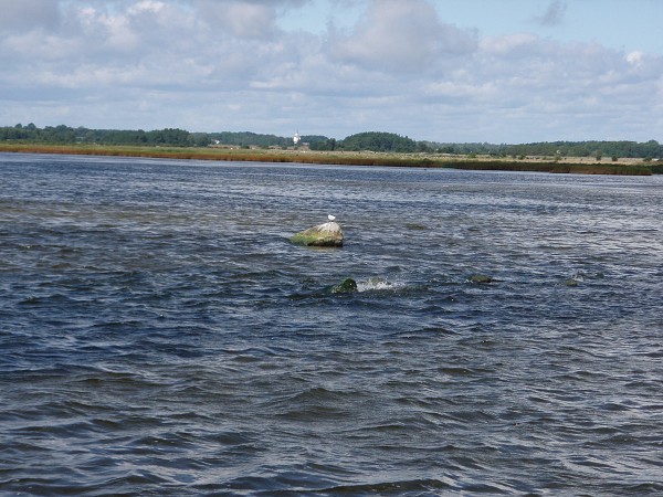 Bornholm a jižní Švédsko