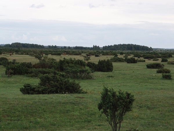 Bornholm a jižní Švédsko