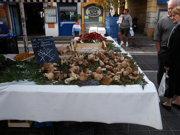 Tržnice Cours Saleya