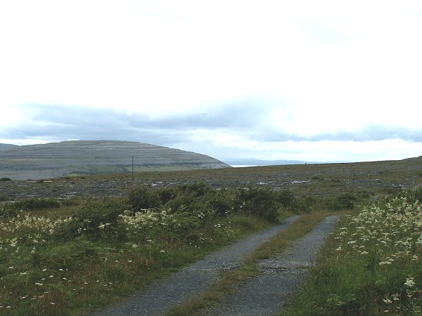 Burren