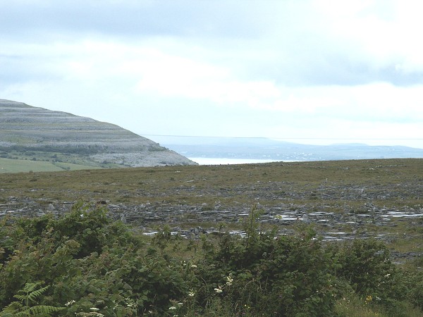 Burren