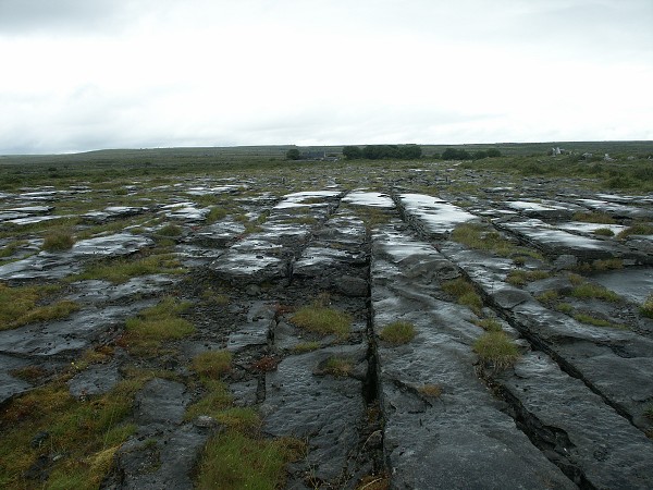 Burren