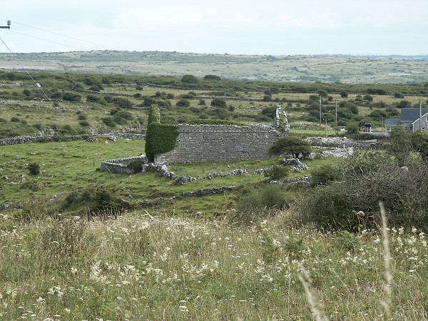 Burren