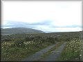 Burren