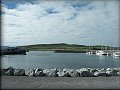 Port of Dingle