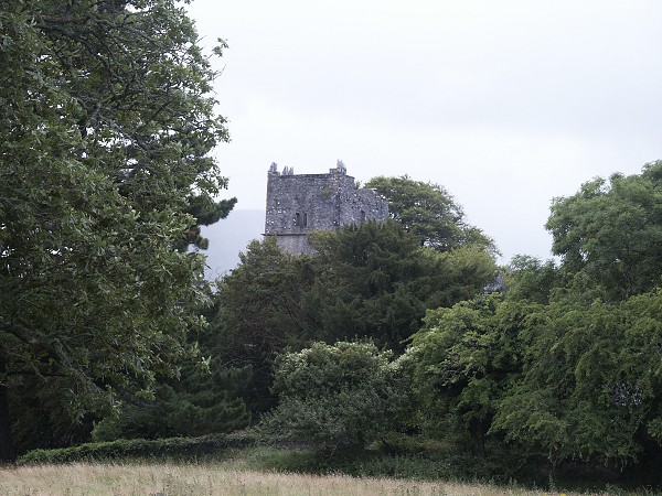 Muckross Abey