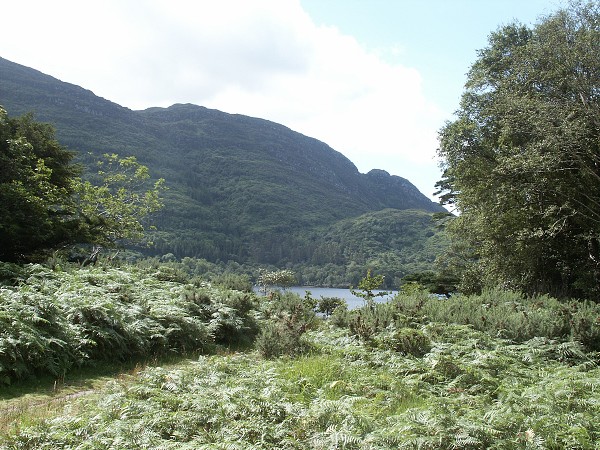 Muckross Park