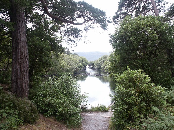 Muckross Park