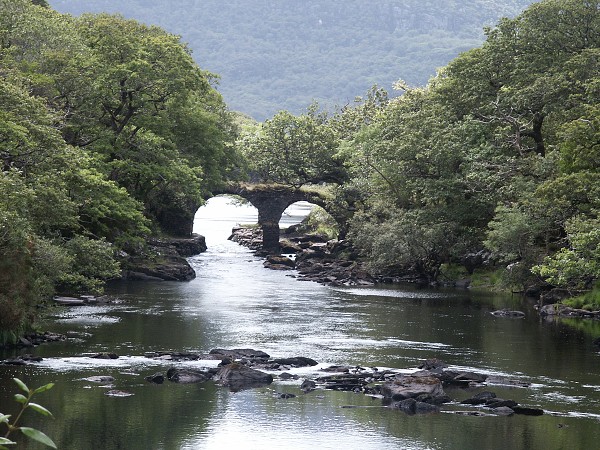 Muckross Park