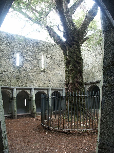 Muckross Abbey