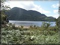 Muckross Lake