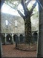 Muckross Abbey