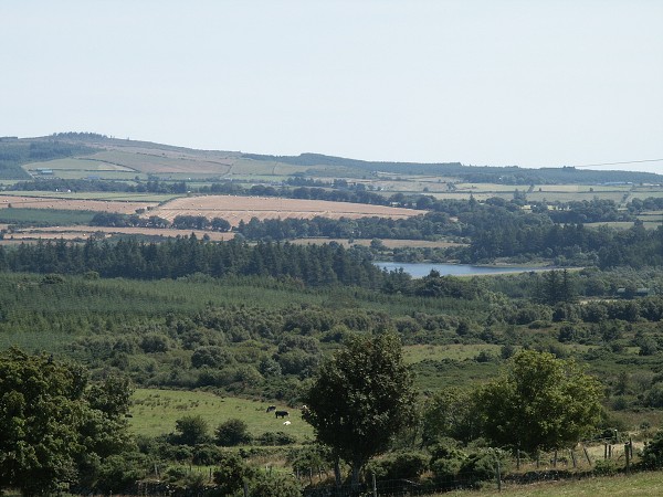 Wicklow Mountains