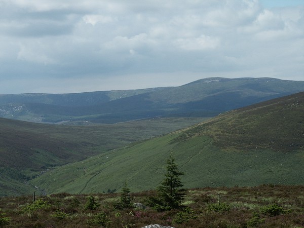 Wicklow Mountains