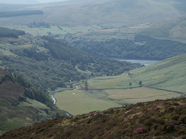 Wicklow Mountains