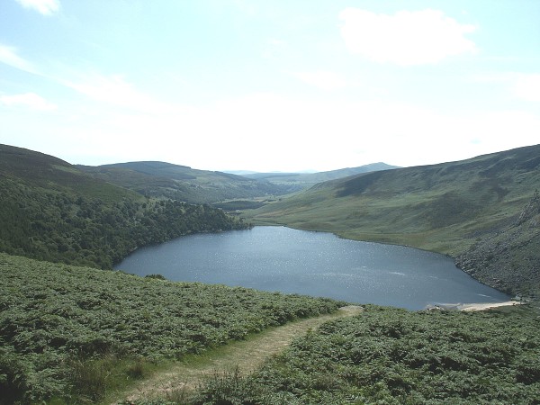 Wicklow Mountains