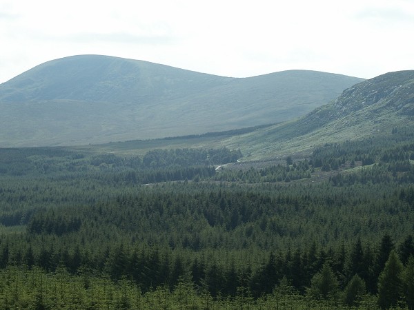 Wicklow Mountains