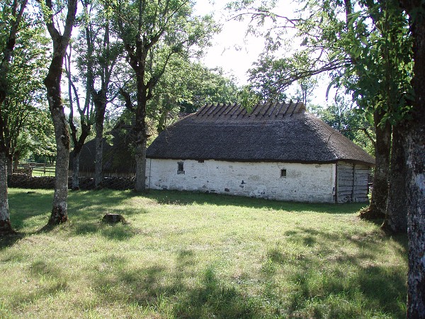 Skanzen u Viki