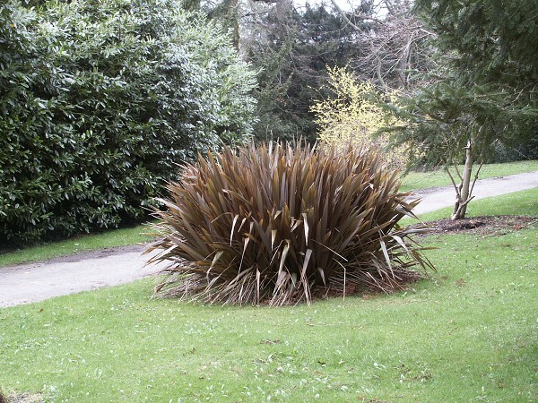 Powerscourt Gardens